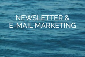 Newsletter & E-mail Marketing