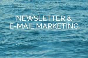 Newsletter & E-Mail Marketing