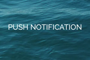 Push Notification