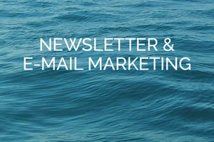 Newsletter & E-mail Marketing