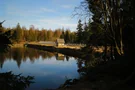 Der goldene Herbst am Oderteich