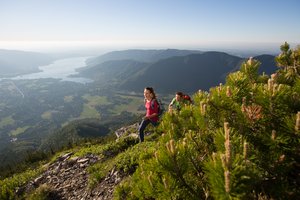 Wandern am Wallberg Wandern am Wallberg