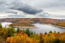 Herbstliches Panorama des Rursees vom Eifelblick aus