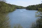 Der Schmalsee ist ein See im Kreis Herzogtum Lauenburg im deutschen Bundesland Schleswig-Holstein östlich der Stadt Mölln.