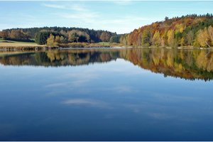 Fotos vom Lausheimer Weiher