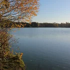 Dieksee