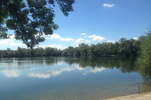 Fotos vom Waldsee