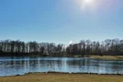 Der Auwaldsee bei Sonnenschein