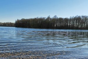 Fotos vom Auwaldsee