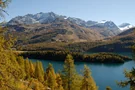 Herbst am Silsersee