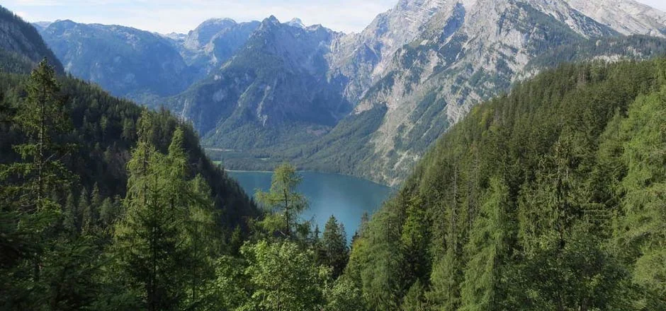 Vom Wasser geprägte Naturschutzgebiete in Deutschland