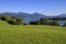 Forggensee 