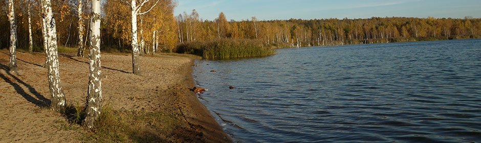 Ludwigsee Headmotiv