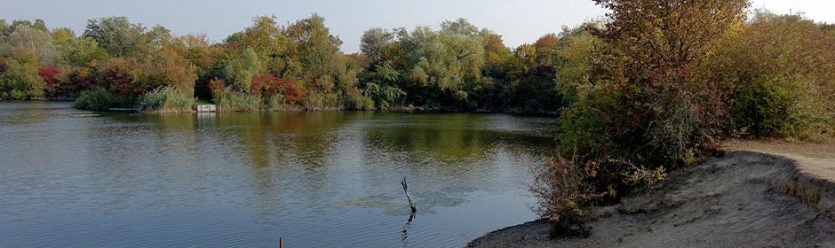 Schreiber Weiher Headmotiv