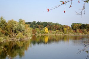 Fotos vom Schreiber Weiher