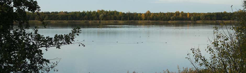 Landschaftssee Köckern Headmotiv