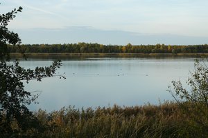 Fotos vom Landschaftssee Köckern