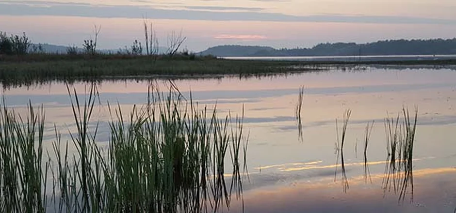 Der See ist im Rahmen von Rekultivierungsmaßnahmen in einem ehemaligen Braunkohleabbaugebiet entstanden und hat sich innerhalb von 30 Jahren zum Lebensraum für eine außergewöhnliche Flora und Fauna entwickelt. 