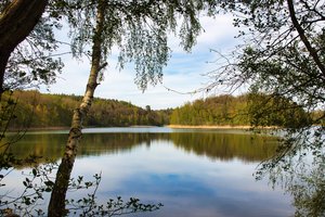 Fotos vom Großer Lankesee