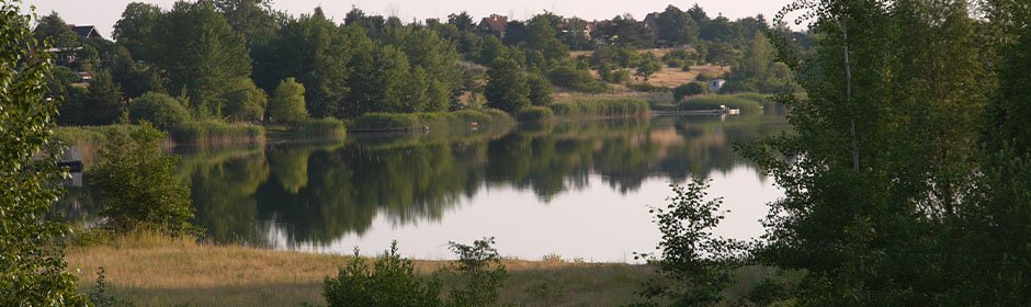 Landschaftssee Köckern Headmotiv