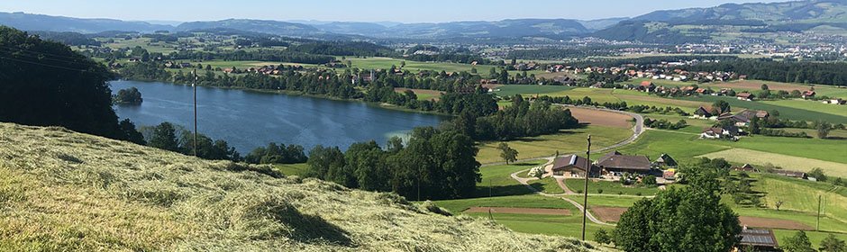 Amsoldingersee Headmotiv