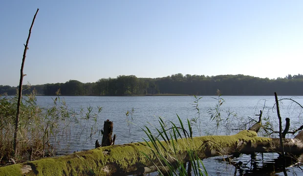 Müritz-Nationalpark - Schweingartensee