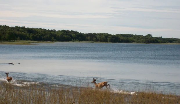 Müritz-Nationalpark - Rederangsee