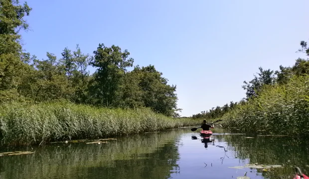 Müritz-Nationalpark 