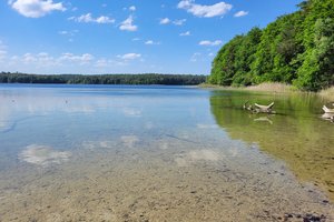 Fotos vom Wummsee Fotos vom Wummsee