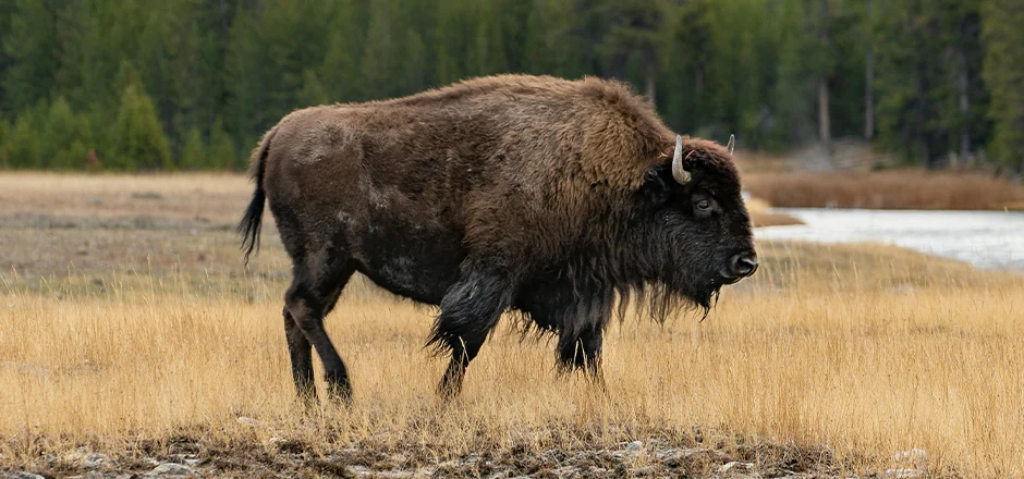 Natur, Kultur und unvergessliche Erlebnisse