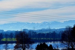 Fotos vom Metzisweiler Weiher