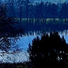 Metzisweiler Weiher
