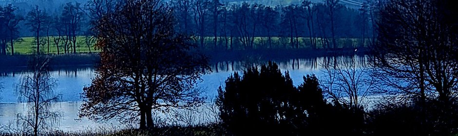 Metzisweiler Weiher Headmotiv