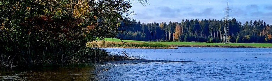Rohrsee Headmotiv
