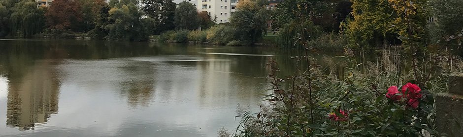 Lietzensee Headmotiv