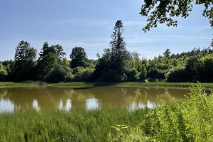 Fotos vom Merschröder Teich