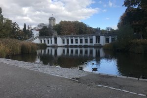Fotos vom Ententeich