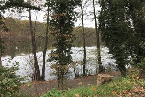 Fotos vom Schlachtensee