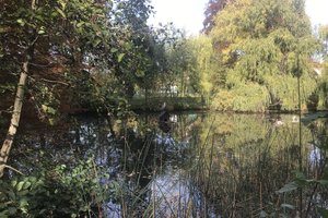 Fotos vom Rückertteich Fotos vom Rückertteich