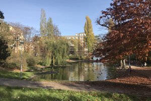 Fotos vom Lauenburgteich