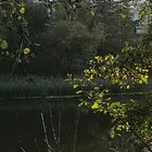 Springpfuhl