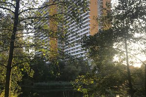 Fotos vom Springpfuhl