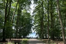 Großer Stechlinsee 