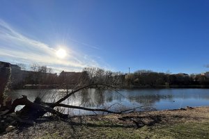 Fotos vom Lietzensee
