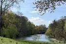 Frühblüher am Fennsee