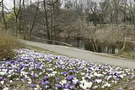 Frühlingserwachen am Fennsee