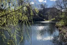 Frühlingssonne am Fennsee