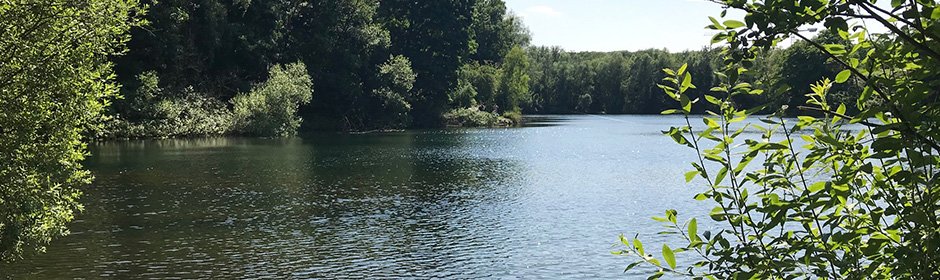 Wassermannsee Headmotiv