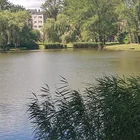 Ibolya-tó