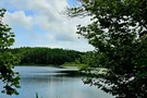Wuhrmühleweiher 